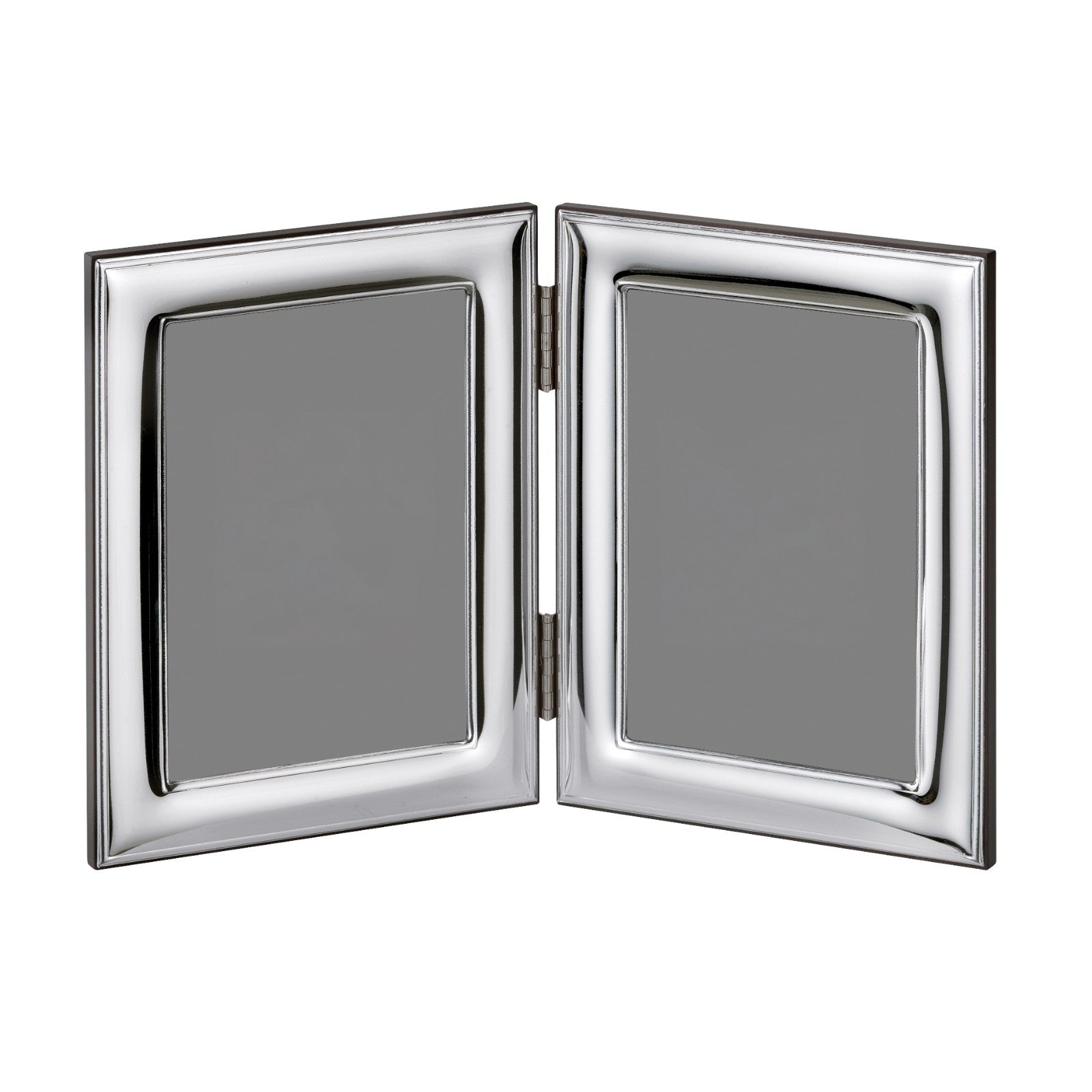 Dual Silver Frame